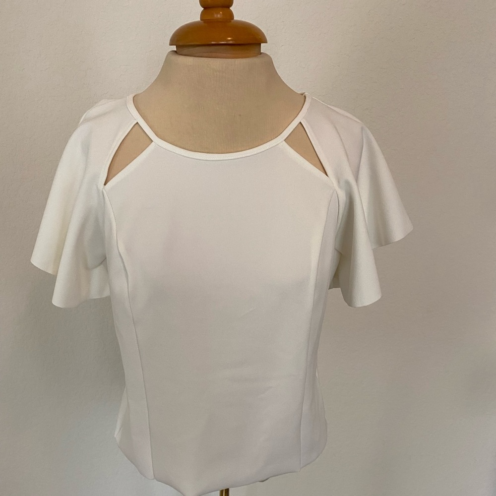 Zara Crop  cutout design Top Sz M NWT